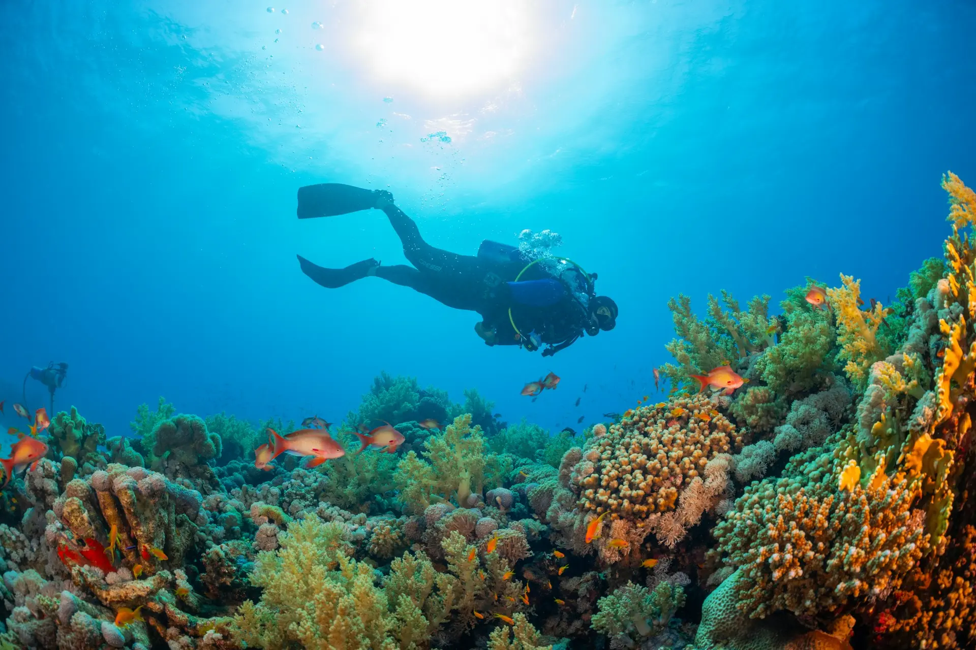 Underwater diving scene